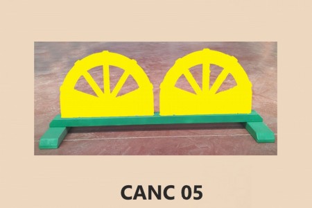 CANC-05