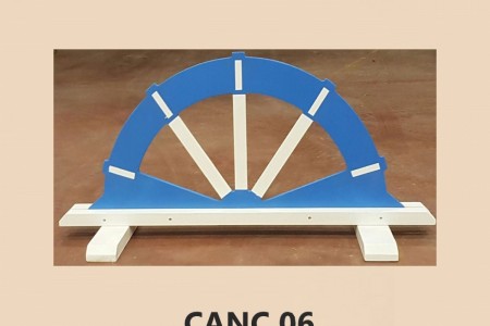 CANC-06