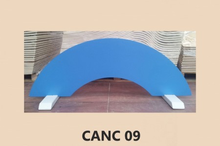 CANC-09