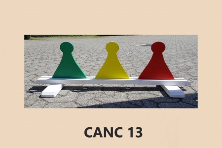 CANC-13