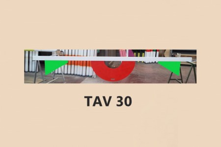 TAV-31