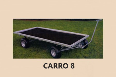 CARRO-08