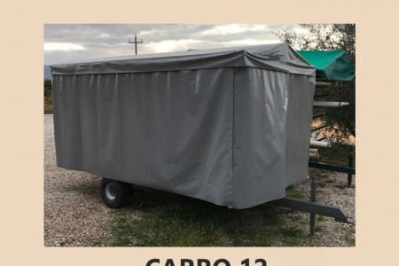 CARRO-12